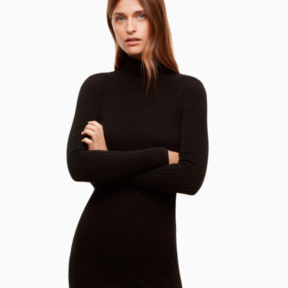 ✨ NWT Wilfred Mariel Dress | Aritzia